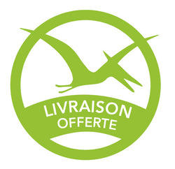 Logo livraison offerte