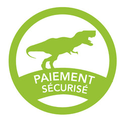 Votre Paiement est 100% Sécurisé