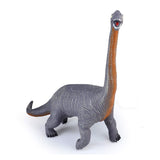 Dinosaure Jouet Diplodocus Gris XXL