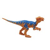 Dinosaure Jouet Pachycéphalosaure Coloré