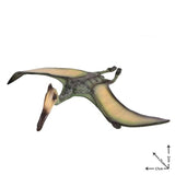 Dinosaure Jouet Pteranodon