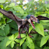 Ptéranodon jouet préhistoire