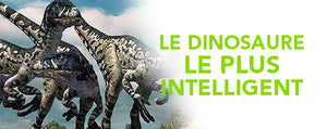 Le Dinosaure le plus Intelligent