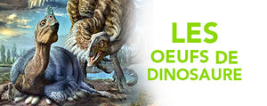 Les Œufs de Dinosaure