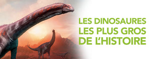 Les dinosaures les plus gros de l’histoire