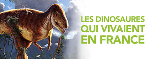 Les Dinosaures qui vivaient en France