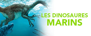 Les Dinosaures Marins