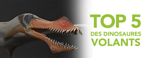 Top 5 Des Dinosaures Volants