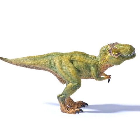 Dinosaures: Le dinausore Tyranosaure Rex